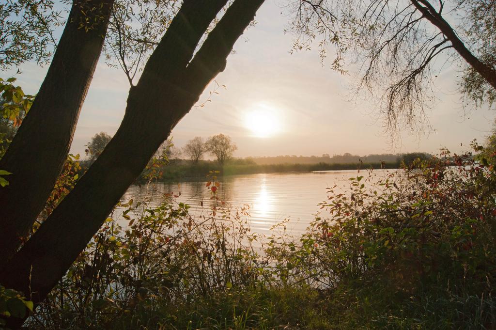 Seehotel Brandenburg An Der Havel Brielow Extérieur photo